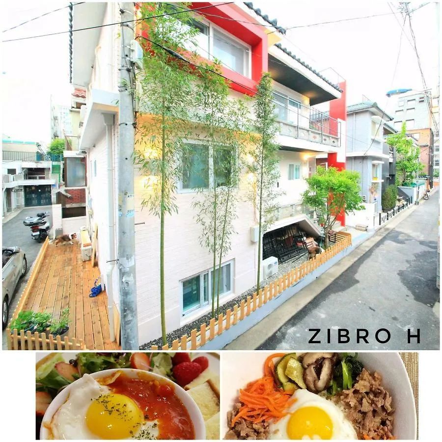 Zibro H contacts